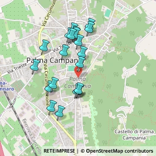 Mappa Via Marconi, 80036 Palma Campania NA, Italia (0.4905)