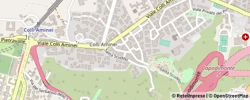 Mappa Napoli
