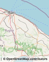 Notai Sammichele di Bari,70010Bari