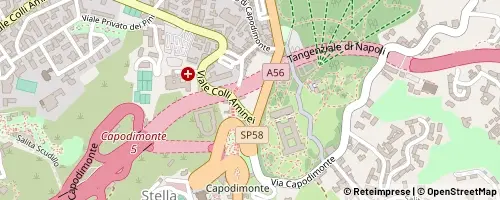 Mappa Napoli