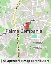 Via Croce, 306,80036Palma Campania