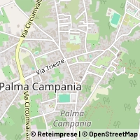 Map Palma Campania
