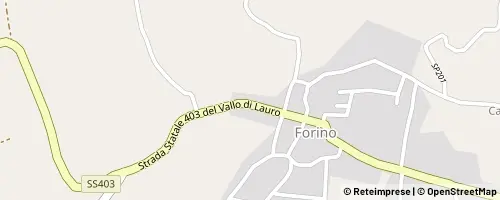 Mappa Forino