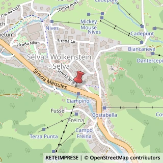 Mappa Strada Meisules, 231, 39048 Selva di Val Gardena, Bolzano (Trentino-Alto Adige)