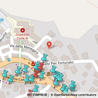 Mappa Via Calvi Pier Fortunato, 32041 Auronzo di Cadore BL, Italia (0.096)