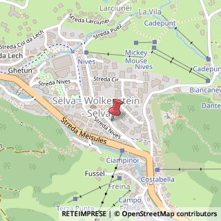 Mappa Strada Nives, 51, 39048 Selva di Val Gardena, Bolzano (Trentino-Alto Adige)