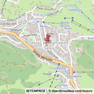 Mappa Strada Nives, 23, 39048 Selva di Val Gardena, Bolzano (Trentino-Alto Adige)