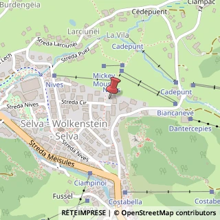 Mappa Strada Cir, 36, 39048 Selva di Val Gardena, Bolzano (Trentino-Alto Adige)