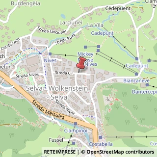 Mappa Strada Cir,  24, 39048 Selva di Val Gardena, Bolzano (Trentino-Alto Adige)