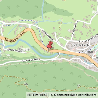 Mappa Strada Meisules, 58, 39048 Selva di Val Gardena, Bolzano (Trentino-Alto Adige)