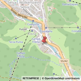 Mappa Strada Ciampin?i, 14, 39048 Selva di Val Gardena, Bolzano (Trentino-Alto Adige)