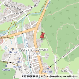 Mappa Strada Col Alt, 49, 39033 Corvara in Badia, Bolzano (Trentino-Alto Adige)
