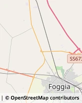 Rosticcerie e Salumerie Foggia,71121Foggia