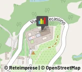 Quadri, Dipinti Olio e Miniature Artistiche Cassino,03043Frosinone