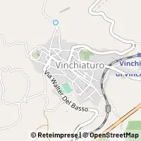 Kort Vinchiaturo