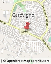 Corso Umberto I, 140,72012Carovigno