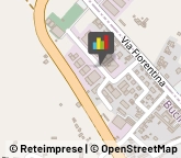 Pelletterie - Ingrosso e Produzione,52021Arezzo