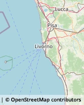 Agenzie Immobiliari Capraia Isola,57032Livorno