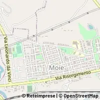 Karta Maiolati Spontini