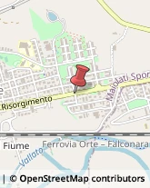 Via Senigallia, 10,60030Maiolati Spontini