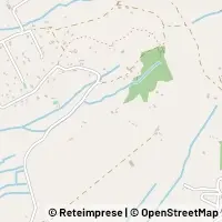 Peta Arezzo