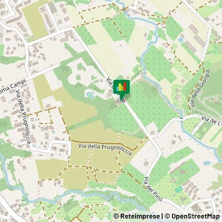 Via del Pino, 168,57128Livorno