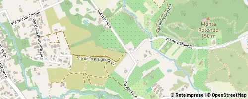 Mappa Livorno