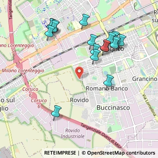Mappa Via dei Navigli, 20090 Buccinasco MI, Italia (1.153)