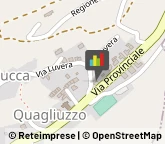 Aziende Agricole Vistrorio,10080Torino