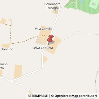 Mappa Via Giovanni Passerini, 5, 25015 Desenzano del Garda, Brescia (Lombardia)