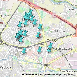 Mappa Via Roberto Schumann, 35132 Padova PD, Italia (1.002)