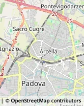 Palestre e Centri Fitness Padova,35135Padova