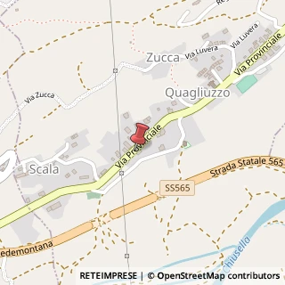 Mappa Via Provinciale, 45, 10010 Quagliuzzo, Torino (Piemonte)