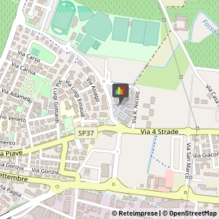 Frutta e Verdura - Dettaglio,37036Verona