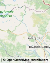 Consulenza di Direzione ed Organizzazione Aziendale Ceres,10070Torino