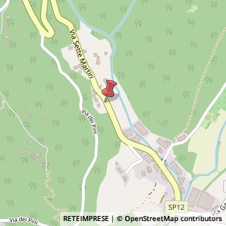 Mappa Via Sette Martiri, 11, 36040 Grancona, Vicenza (Veneto)