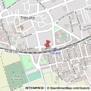 Mappa Via Alessandro Volta, 8, 28069 Trecate, Novara (Piemonte)