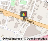 Feste - Organizzazione e Servizi,35010Padova
