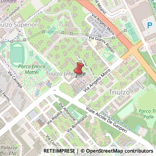 Mappa Via Triulziana, 16, 20097 San Donato Milanese, Milano (Lombardia)