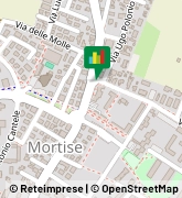 Via Madonna della Salute, 120,35129Padova