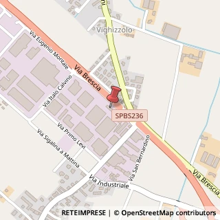 Mappa Via Eugenio Montale, 11, 25018 Montichiari, Brescia (Lombardia)