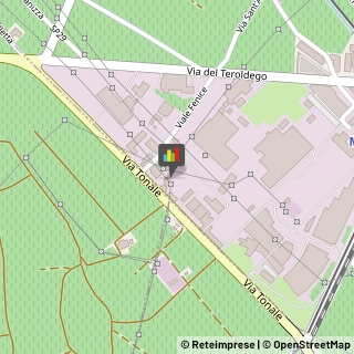 Palestre e Centri Fitness Mezzocorona,38016Trento