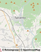 Aziende Agricole Tarcento,33017Udine