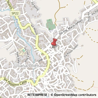 Mappa Via vittorio veneto 62, 08100 Oliena, Nuoro (Sardegna)