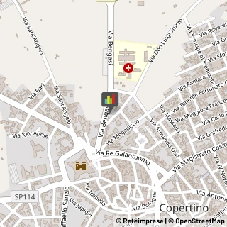 Articoli per Ortopedia Copertino,73043Lecce