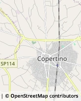 Campeggi, Villaggi Turistici e Ostelli Copertino,73043Lecce