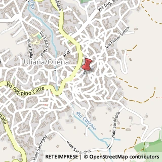 Mappa Via Dr. Antonio Puligheddu, 5, 08025 Oliena, Nuoro (Sardegna)