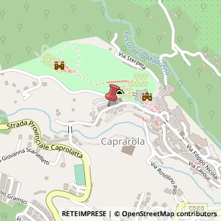 Mappa Viale Regina Margherita, 2, 01032 Caprarola, Viterbo (Lazio)