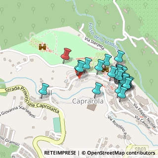 Mappa Viale Regina Margherita, 01032 Caprarola VT, Italia (0.25172)