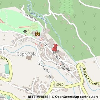 Mappa Via Filippo Nicolai, 501, 01032 Caprarola, Viterbo (Lazio)